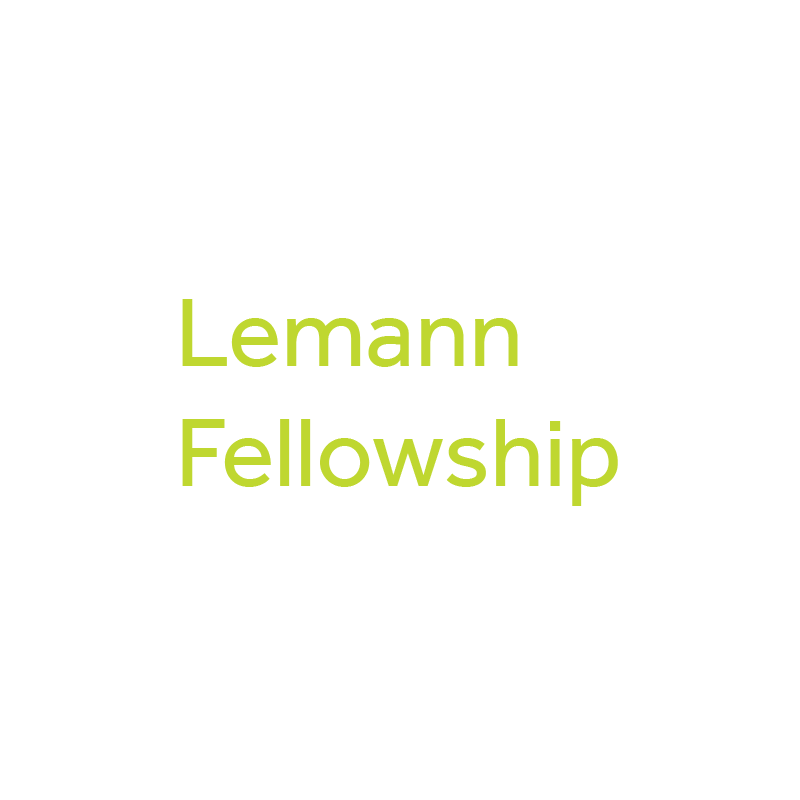Lemann Fellowship